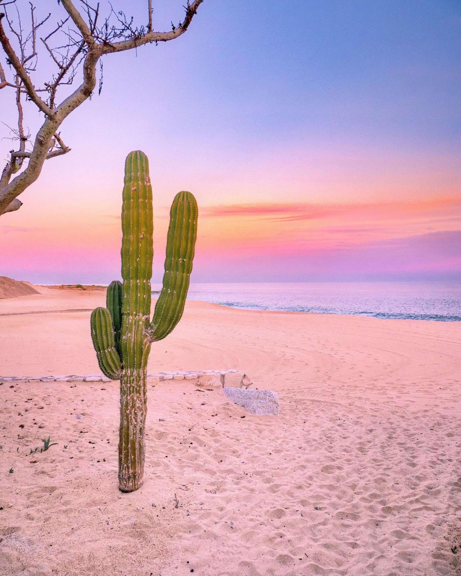 Hotel Park Hyatt Los Cabos At Cabo Del Sol Cabo San Lucas Exteriér fotografie